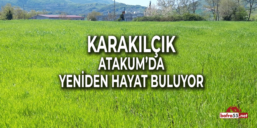 Atakum'da Yeniden Hayat Buluyor