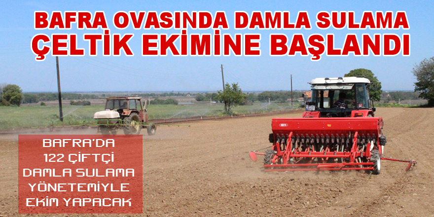 Bafra'da Damla Sulama Çeltik Ekimine Başlandı