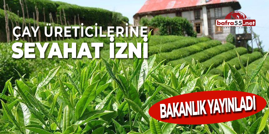 Çay Üreticilerine Seyahat İzni