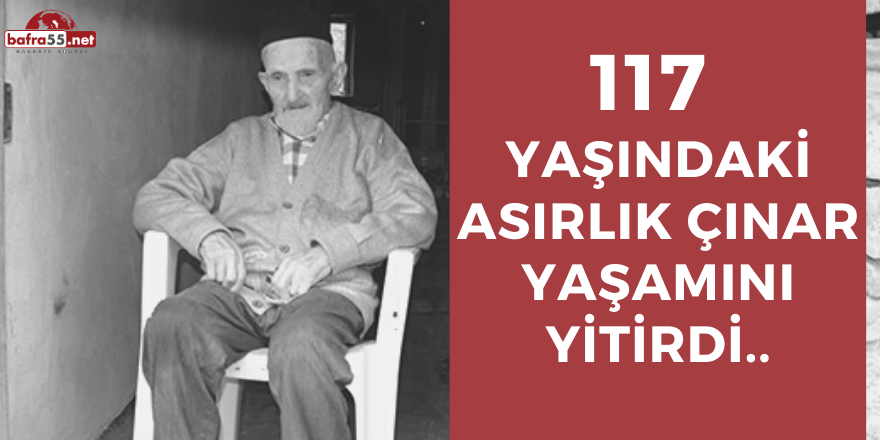 ASIRLIK ÇINAR YAŞAMINI YİTİRDİ!