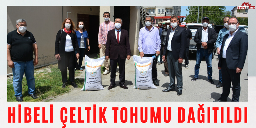 HİBELİ ÇELTİK TOHUMU DAĞITILDI