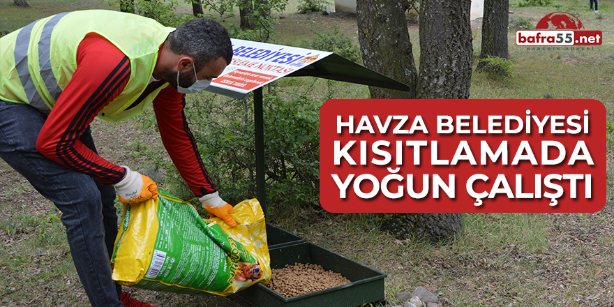 Havza Belediyesi Kısıtlamada Yoğun Çalıştı