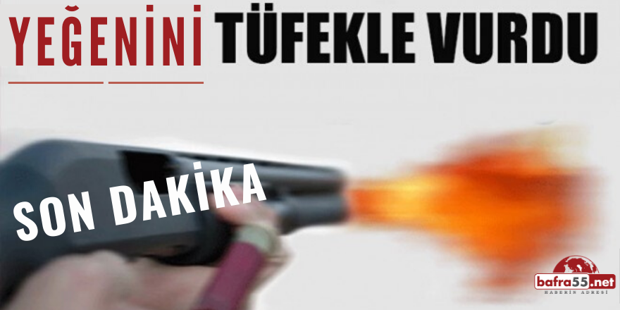 Tüfekle  Yeğenini  Vurdu