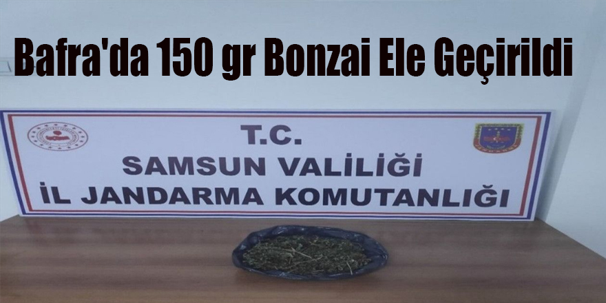 Bafra'da 150 gr Bonzai Ele Geçirildi