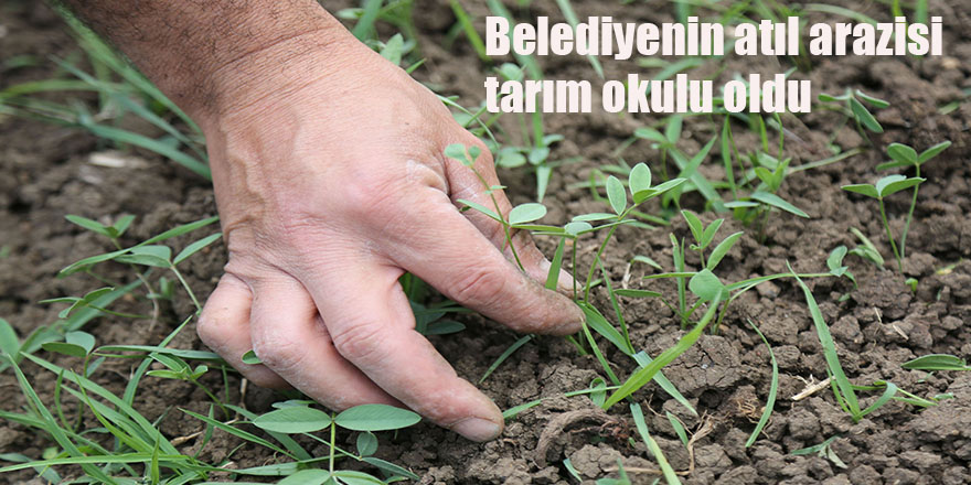 Belediyenin atıl  arazisi tarım okulu oldu