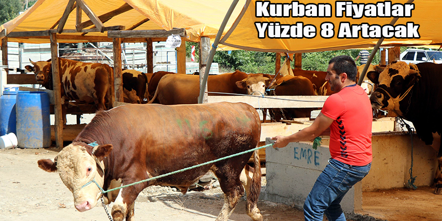 Kurban Fiyatlar Yüzde 8 Artacak