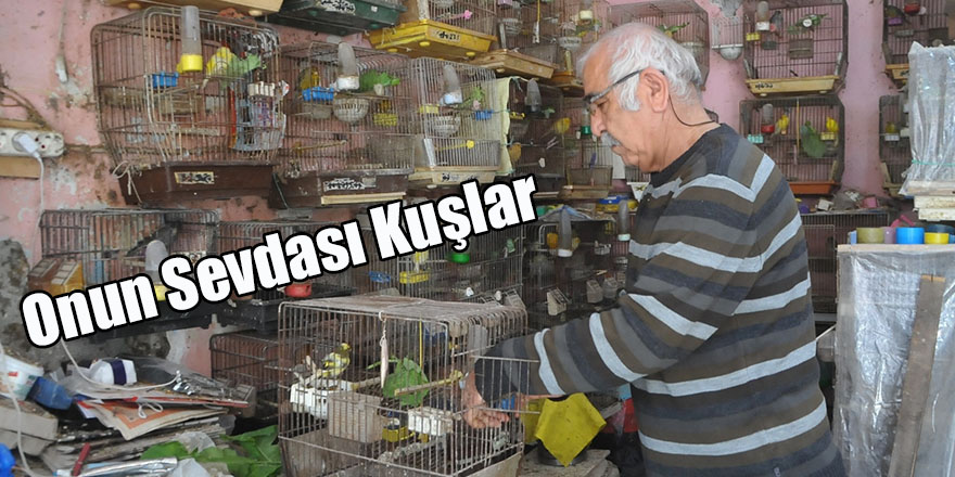 Bafralı Emekli Öğretmenin Sevdası Kuşlar