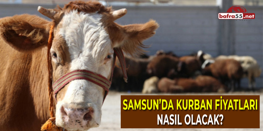 Samsun'da Kurban Fiyatları Nasıl Olacak?