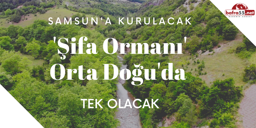 Orta Doğu'da Tek Olacak Şifa Ormanı Samsun'da