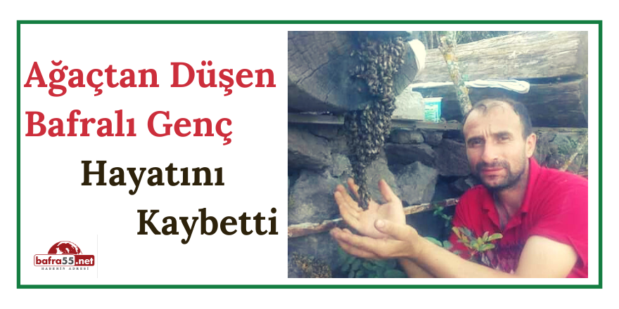 Ağaçtan Düşen Bafralı Genç Hayatını Kaybetti