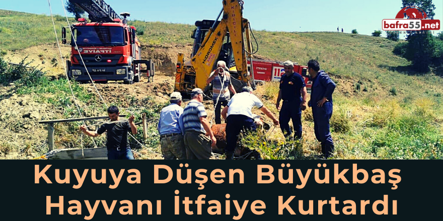 Kuyuya Düşen Büyükbaş Hayvanı İtfaiye Kurtardı