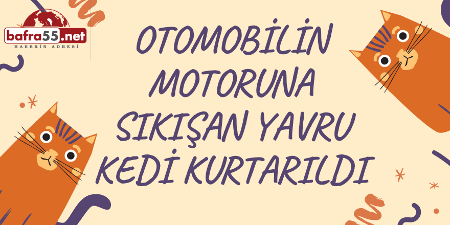 Otomobilin Motoruna Sıkışan Yavru Kedi Kurtarıldı