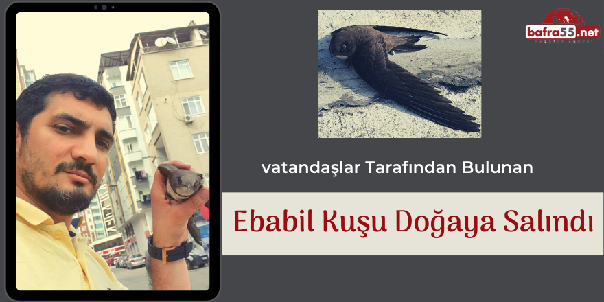 Ebabil Kuşu Doğaya Salındı