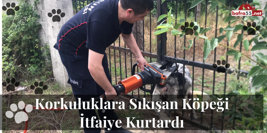 Korkuluklara Sıkışan Köpeği İtfaiye Kurtardı