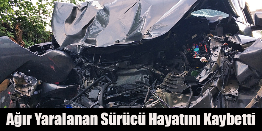 Ağır Yaralanan Sürücü Hayatını Kaybetti