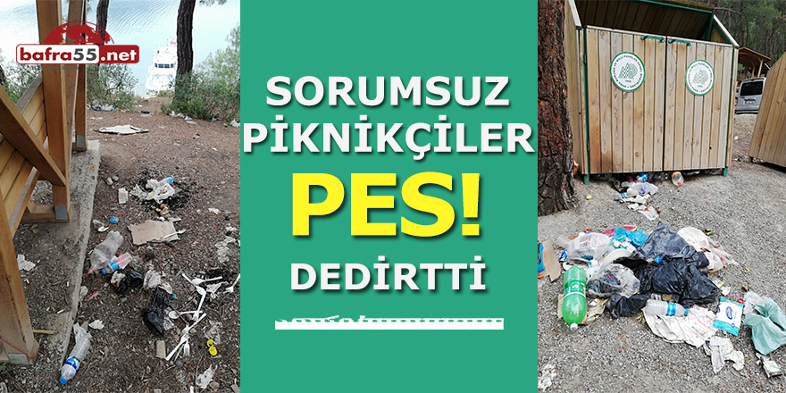 Samsun'da Sorumsuz Piknikçiler Pes Dedirtti