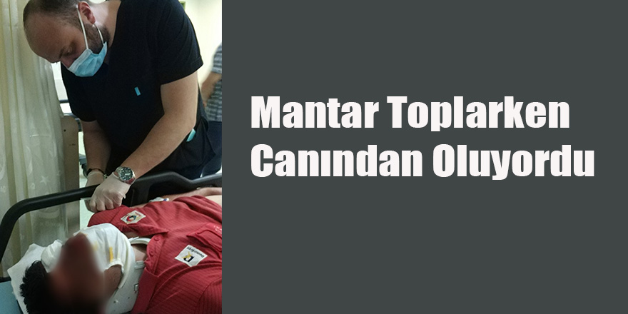 Mantar Toplarken Canından Oluyordu