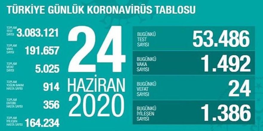 24 Haziran Koronavirüs Vaka Sayıları