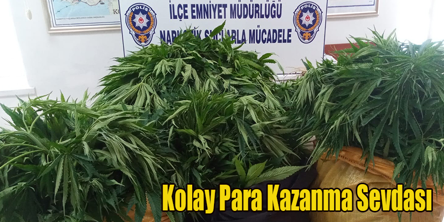 Kolay Para Kazanma Sevdası