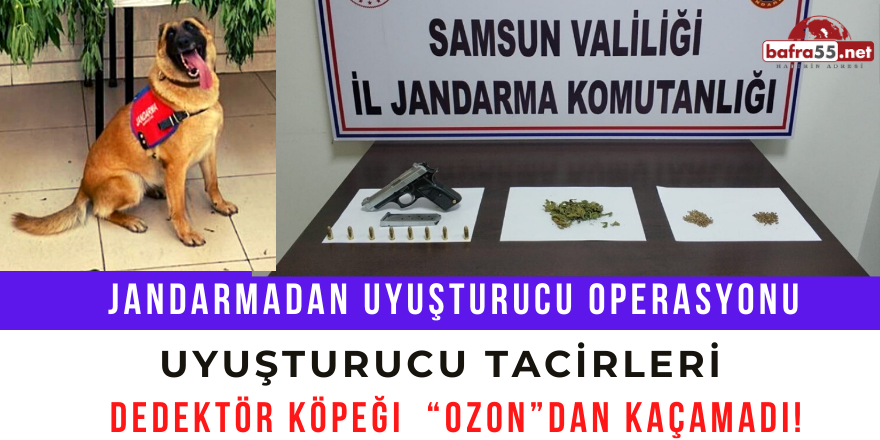 Uyuşturucu Tacirleri Dedektör Köpeği  “Ozon”dan Kaçamadı!