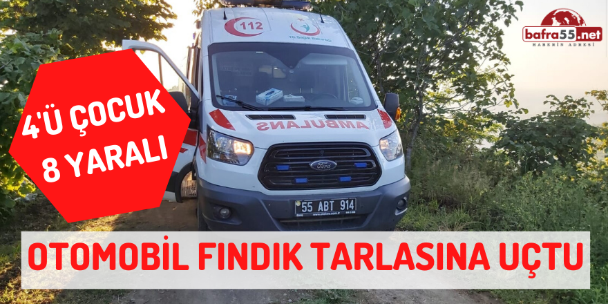 Samsun'da Otomobil Fındık Tarlasına Uçtu!