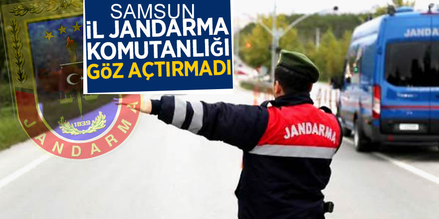 Jandarmanın uyuşturucu operasyonunda 2 tutuklama