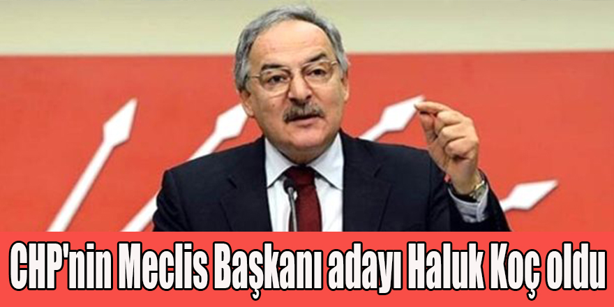 CHP'nin Meclis Başkanı adayı Haluk Koç oldu