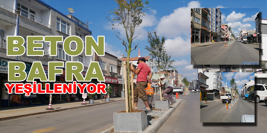 Alaçam Caddesi Yeşilleniyor