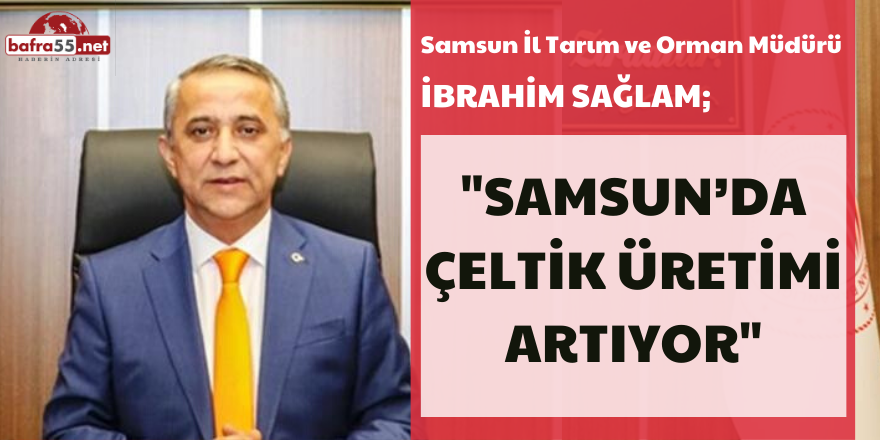 Samsun’da Çeltik Üretimi Artıyor