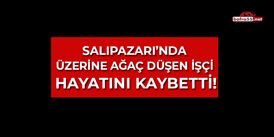 Salıpazarı'nda Üzerine Ağaç Düşen İşçi Hayatını Kaybetti!