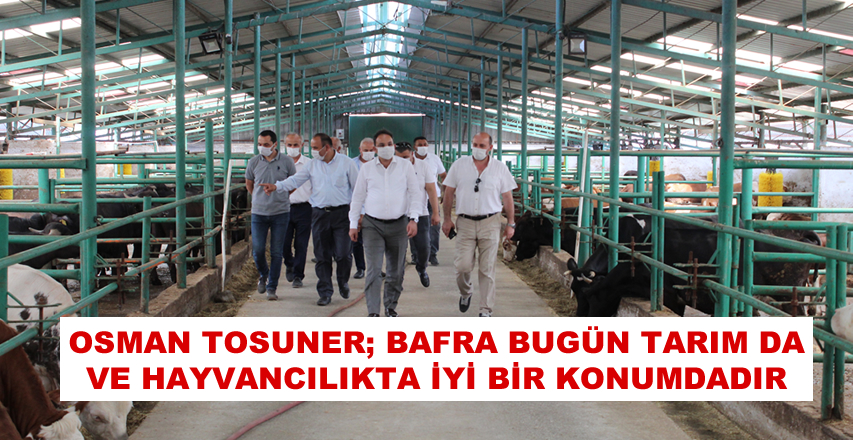 Osman Tosuner, Bafra Bugün Tarım Da Ve Hayvancılıkta İyi Bir Konumdadır’’