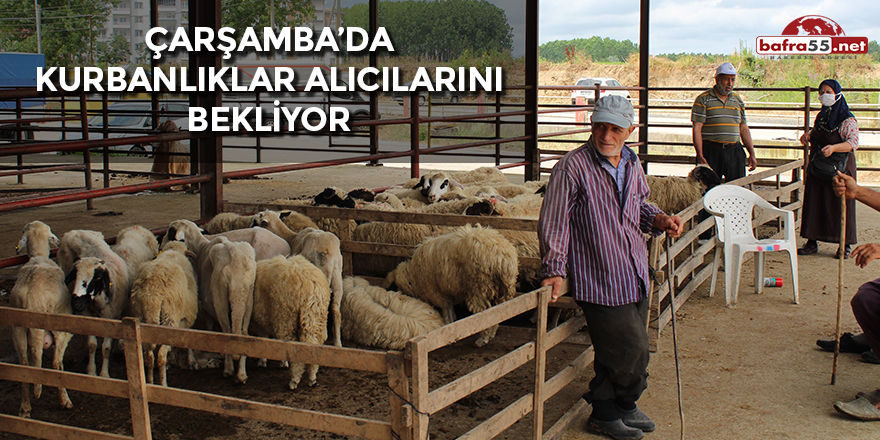 Çarşamba'da Kurbanlıklar Alıcılarını Bekliyor