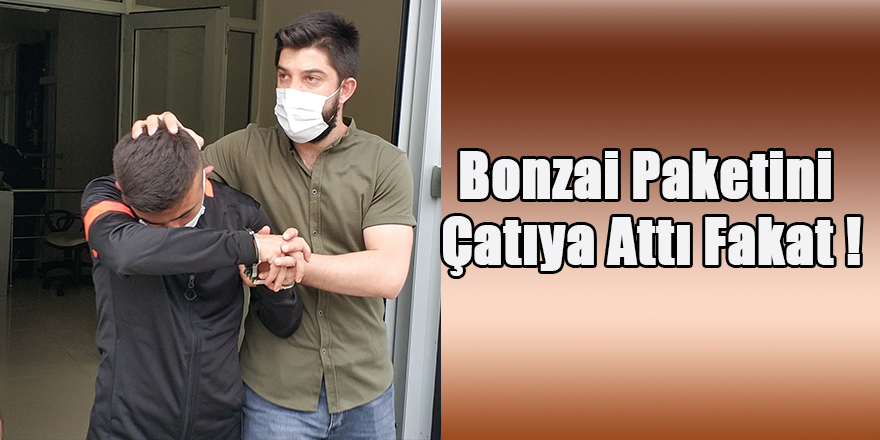 Bonzai Paketini Çatıya Attı Fakat