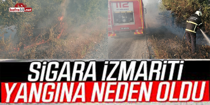 Sigara İzmariti Yangın Çıkardı