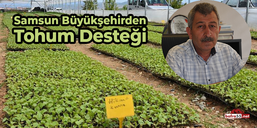 Samsun Büyükşehir'den Tohum Desteği