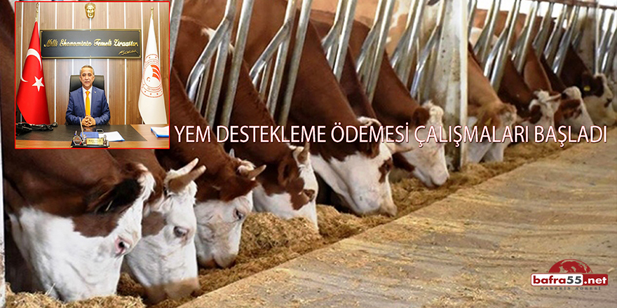 Yem Destekleme Ödemesi Çalışmaları Başladı