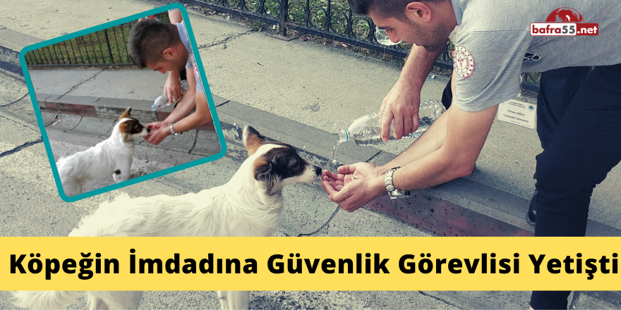 Hastane Bahçesinde Susuz Kalan Köpeğin İmdadına Güvenlik Görevlisi Yetişti