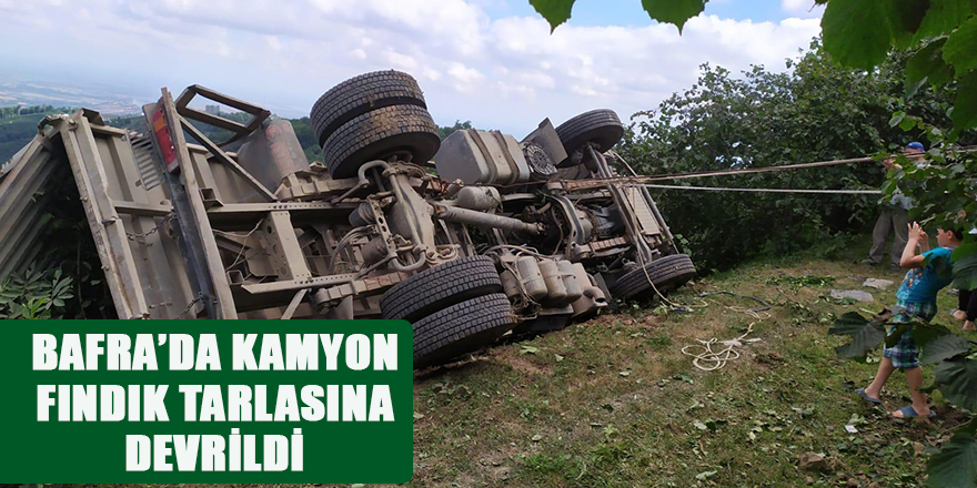 BAFRA'DA KAMYON FINDIK TARLASINA DEVRİLDİ