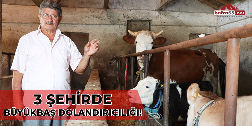 3 Şehirde Büyükbaş Dolandırıcılığı!