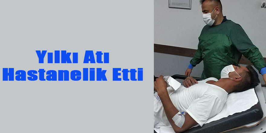 Yılkı Atı Hastanelik Etti