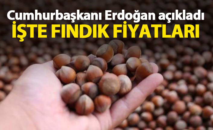 Fındık fiyatı ne kadar?