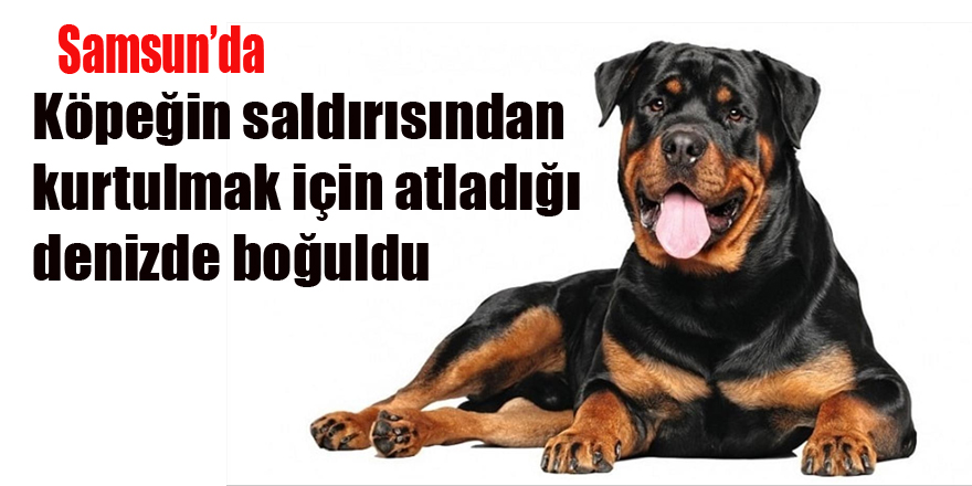 Köpeğin Saldırısından Kaçmak için atladığı denizde boğuldu