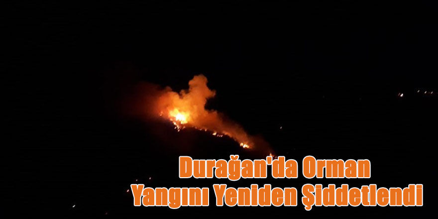 Durağan'da Orman Yangını Yeniden Şiddetlendi