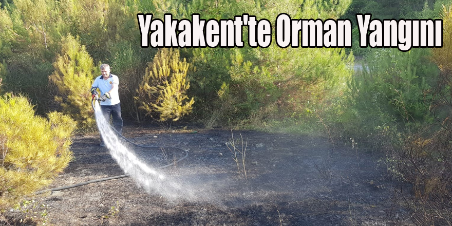 Çam gölünde  Orman Yangını