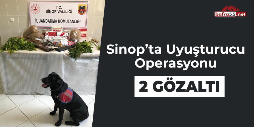 Sinop'ta Uyuşturucu Operasyonu: 2 Gözaltı