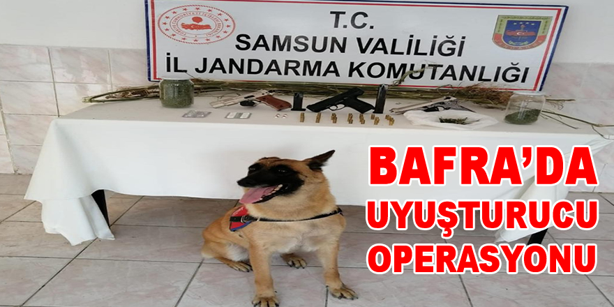 Bafra’da Uyuşturucu Operasyonu