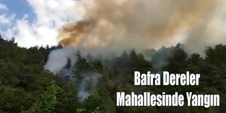 Bafra Dereler Mahallesinde Orman Yangını