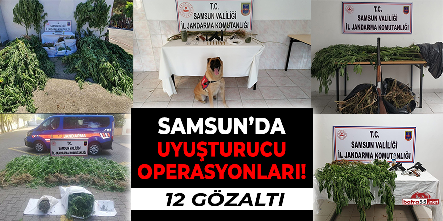 Samsun'da Uyuşturucu Operasyonları! 12 Gözaltı