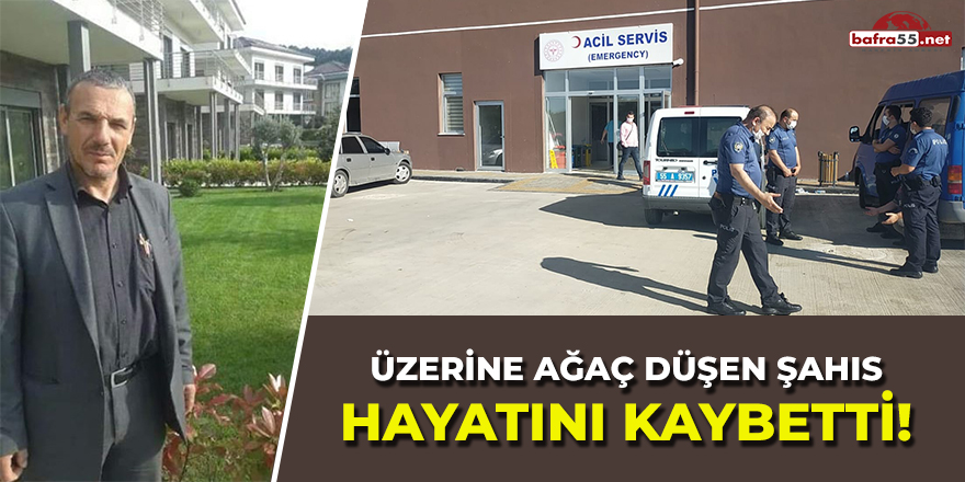 Üzerine Ağaç Düşen Şahıs Hayatını Kaybetti!