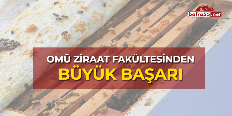 OMÜ Ziraat Fakültesinden Büyük Başarı